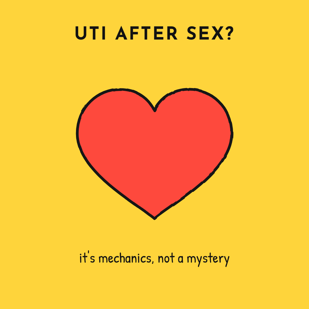 UTI after sex: why it happens, and why it feels like your partner is giving it to you