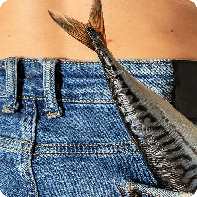 fish-in-pocket.png