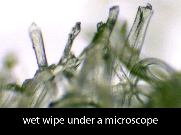wet_wipe_surface_under_microscope.png